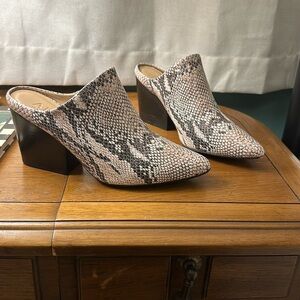 Able snakeskin mule, size 8.5